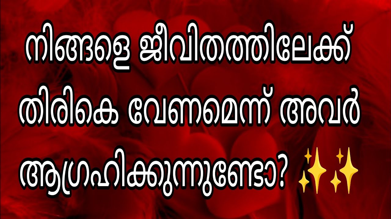 നിങ്ങളെ ജീവിതത്തിലേക്ക് തിരികെ വേണമെന്ന് അവർ ആഗ്രഹിക്കുന്നുണ്ടോ? ✨✨
