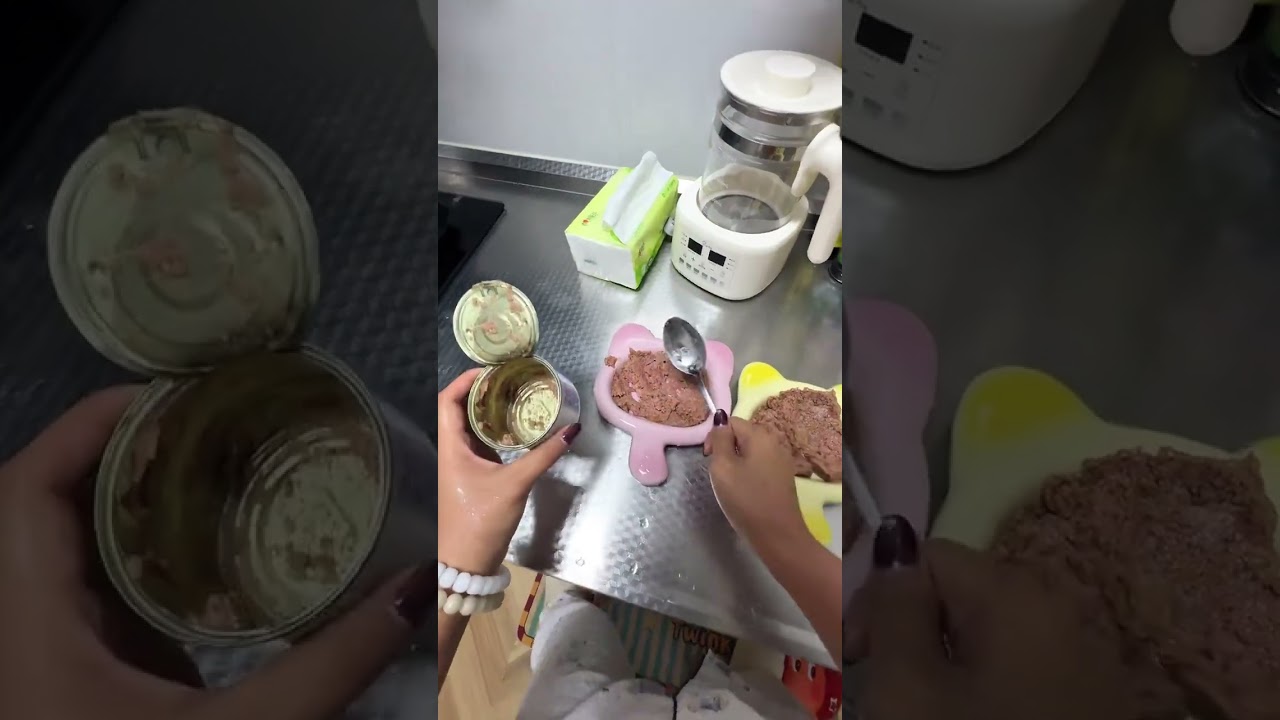 VlogDo you have any pet snack recommendations The afternoon tea is about to stop there s n