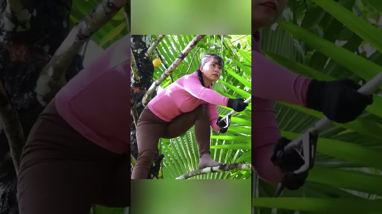 single mother life county side mountains survive