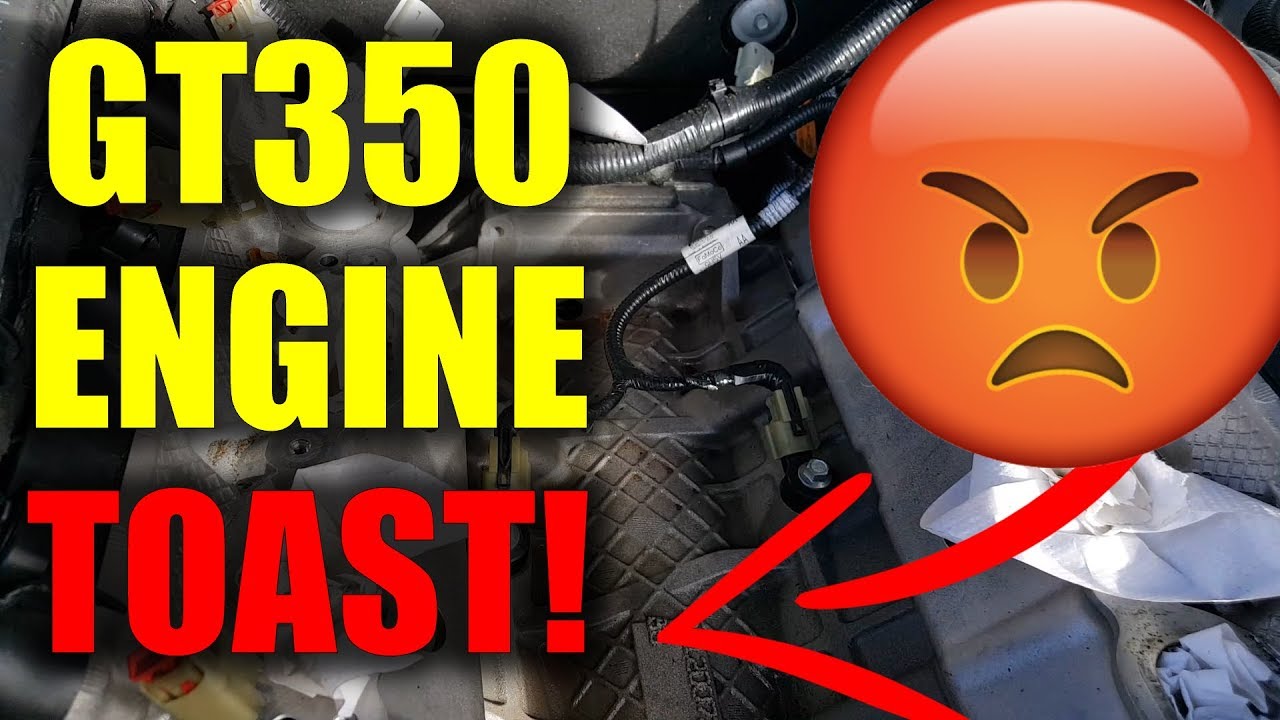 My GT350 Engine is Toast  (Ford GT350 Engine Problem Update)