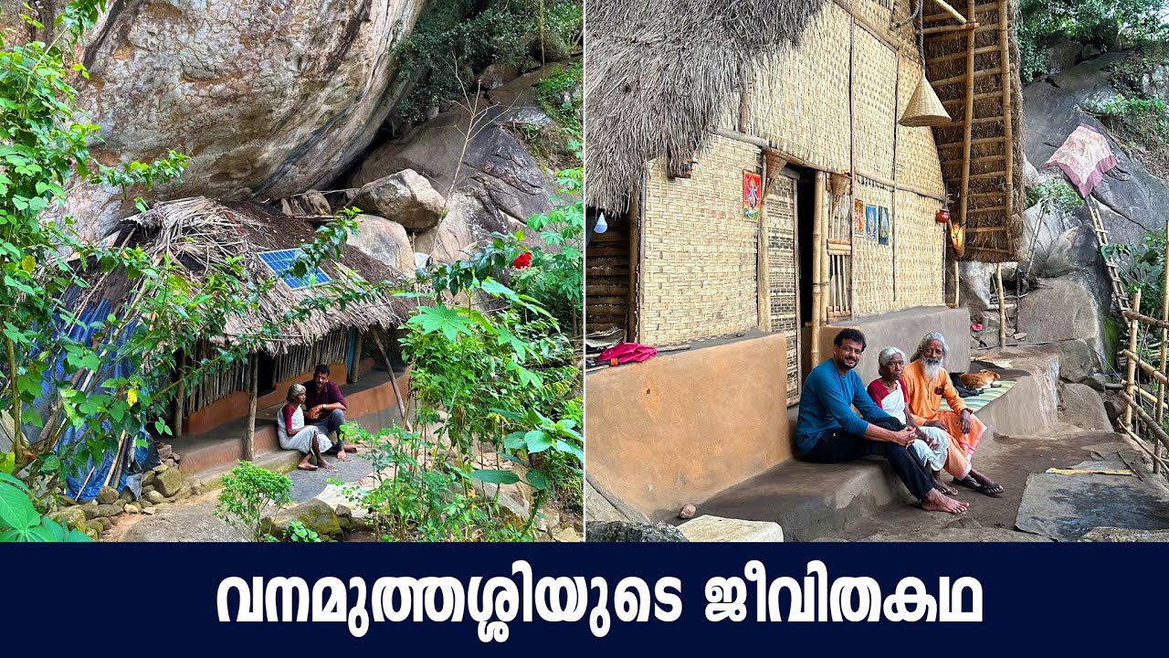 വനമുത്തശ്ശിയുടെ ജീവിതകഥ | The Life Story Of Vanamuthassi