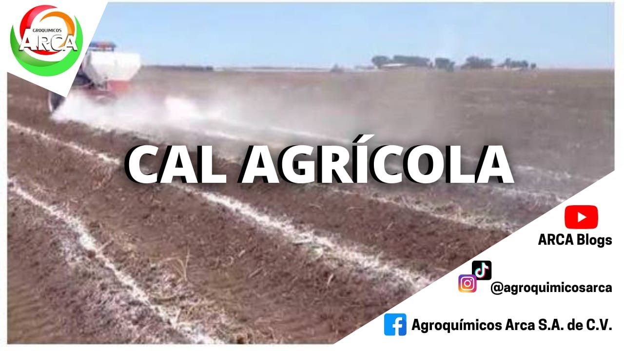APRENDAMOS LA IMPORTANCIA DE LA CAL AGRICOLA EN LA AGRICULTURA