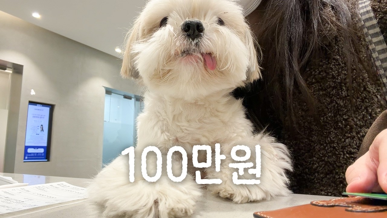 결제해주세요