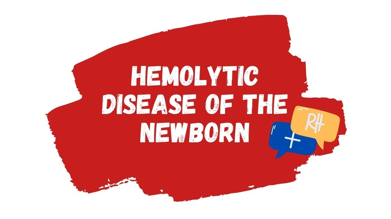 Hemolytic Disease of the Newborn EXPLAINED | Rh and ABO incompatibility