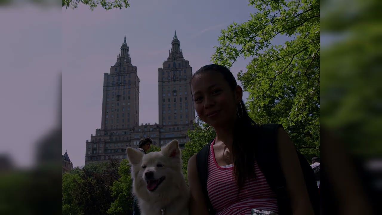 Central Park 2015