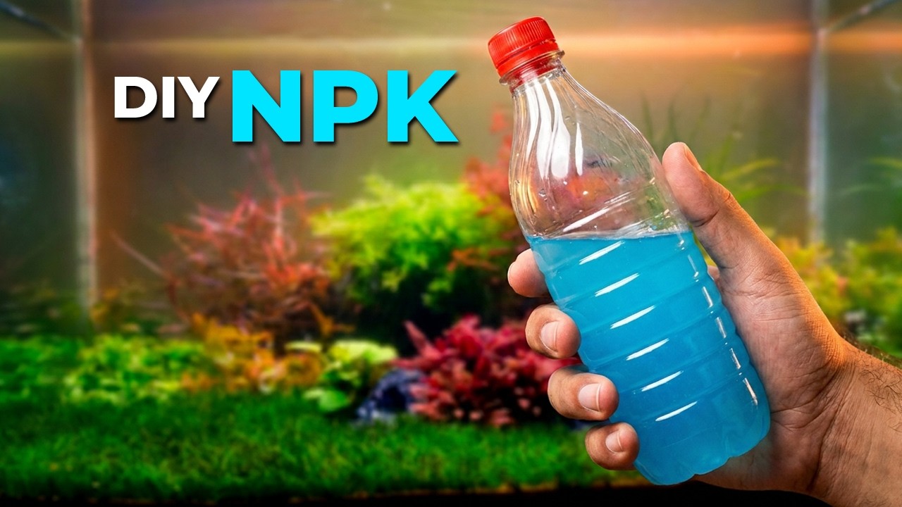 DIY Aquarium NPK Fertilizer: Easy Homemade Liquid Plant Booster for Planted Tanks
