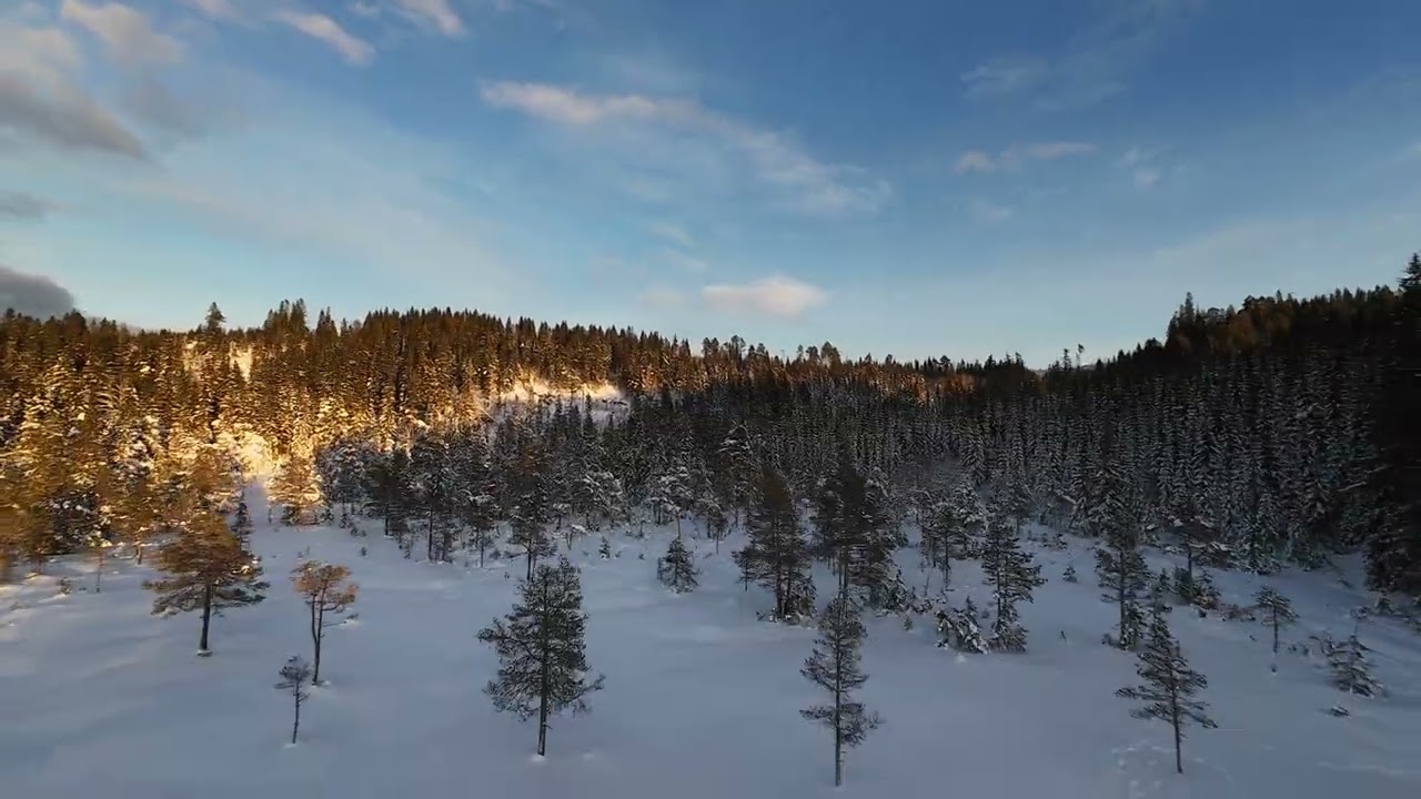Norway 2