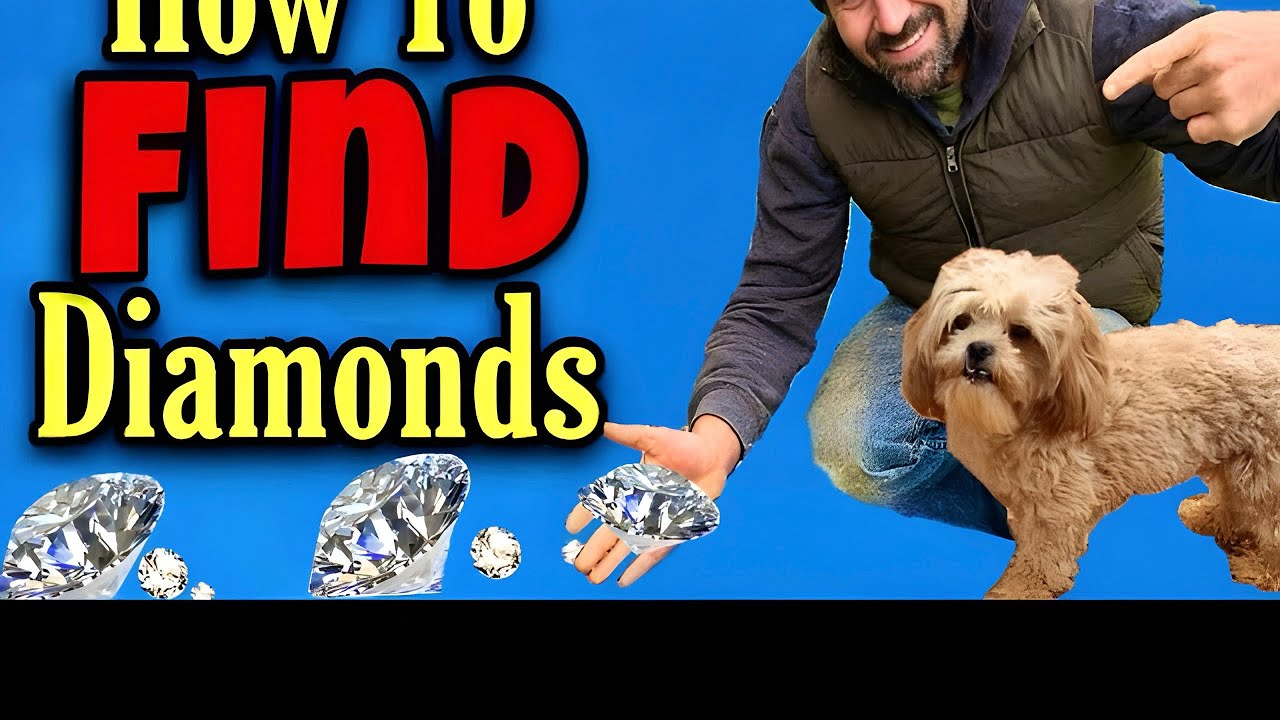 Actually Finding a Real Diamond Mining Arkansas Crater of Diamonds