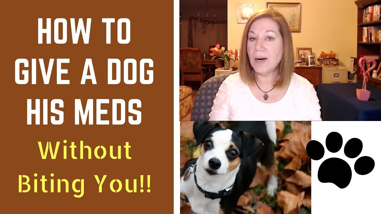 How to Give a Dog His Medicine | EASY! Guaranteed Success | No Biting!