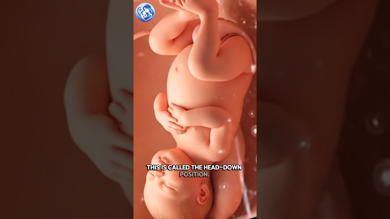 Why Head-Down Is the Best Baby Position Before Birth