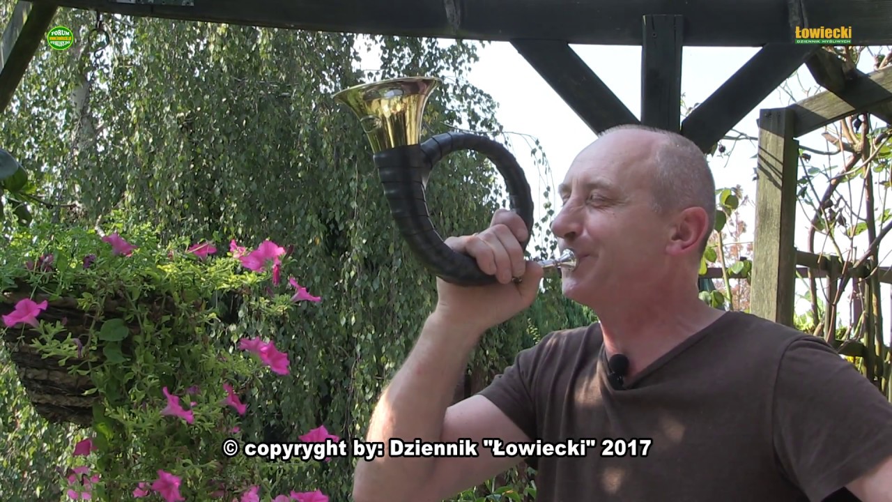 POKRĘTNA SPRAWIEDLIWOŚĆ ŁOWIECKA - Okręg Katowice