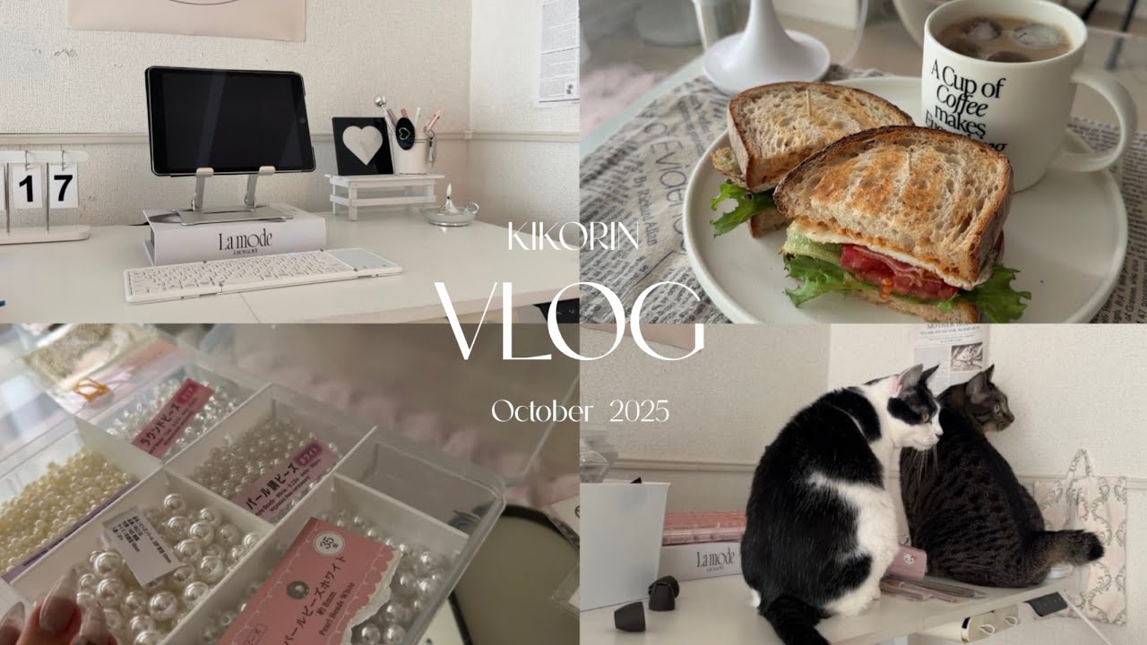 【Vlog】找到了新的爱好，30多岁单身女性和猫一起生活的日常生活