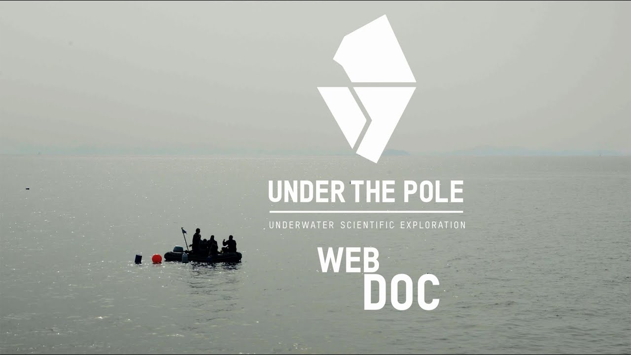 UNDER THE POLE IV • S06E02 • On plonge dans une forêt !