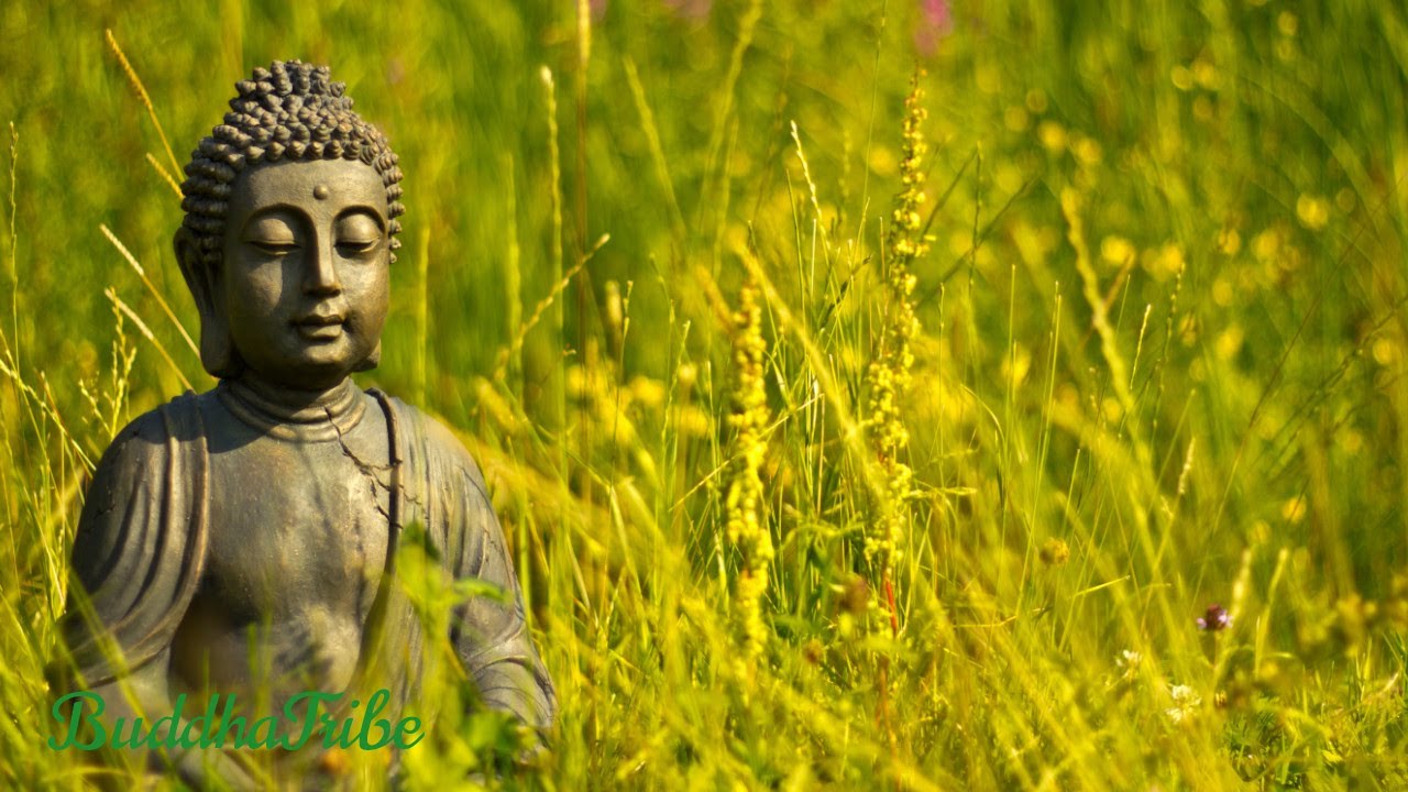 Equinoccio de Primavera 🌺 M&uacute;sica Relajante, Sonidos de la Naturaleza, Relajaci&oacute;n y Meditaci&oacute;n