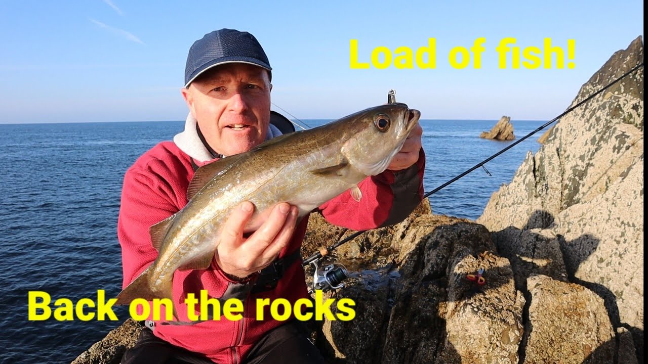 Back on the rocks...loads of fish!