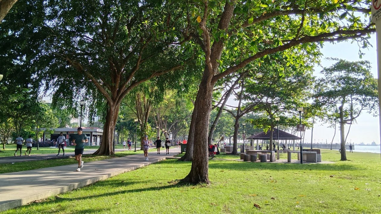 Live At East Coast Park Singapore