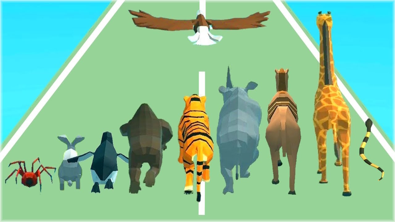 Animal Racing - Transform Animals Run Gameplay Part 2 Max Level