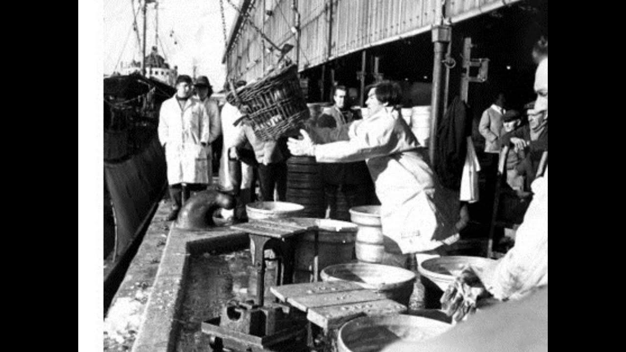 our fishing heritage of hull by les swain