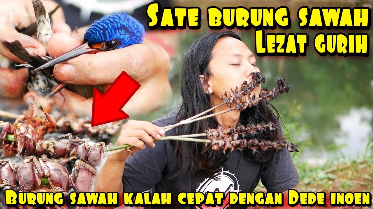 TANGAN DEWA KEMBALI BRAKSI | SATE BURUNG HAMA PADI !!