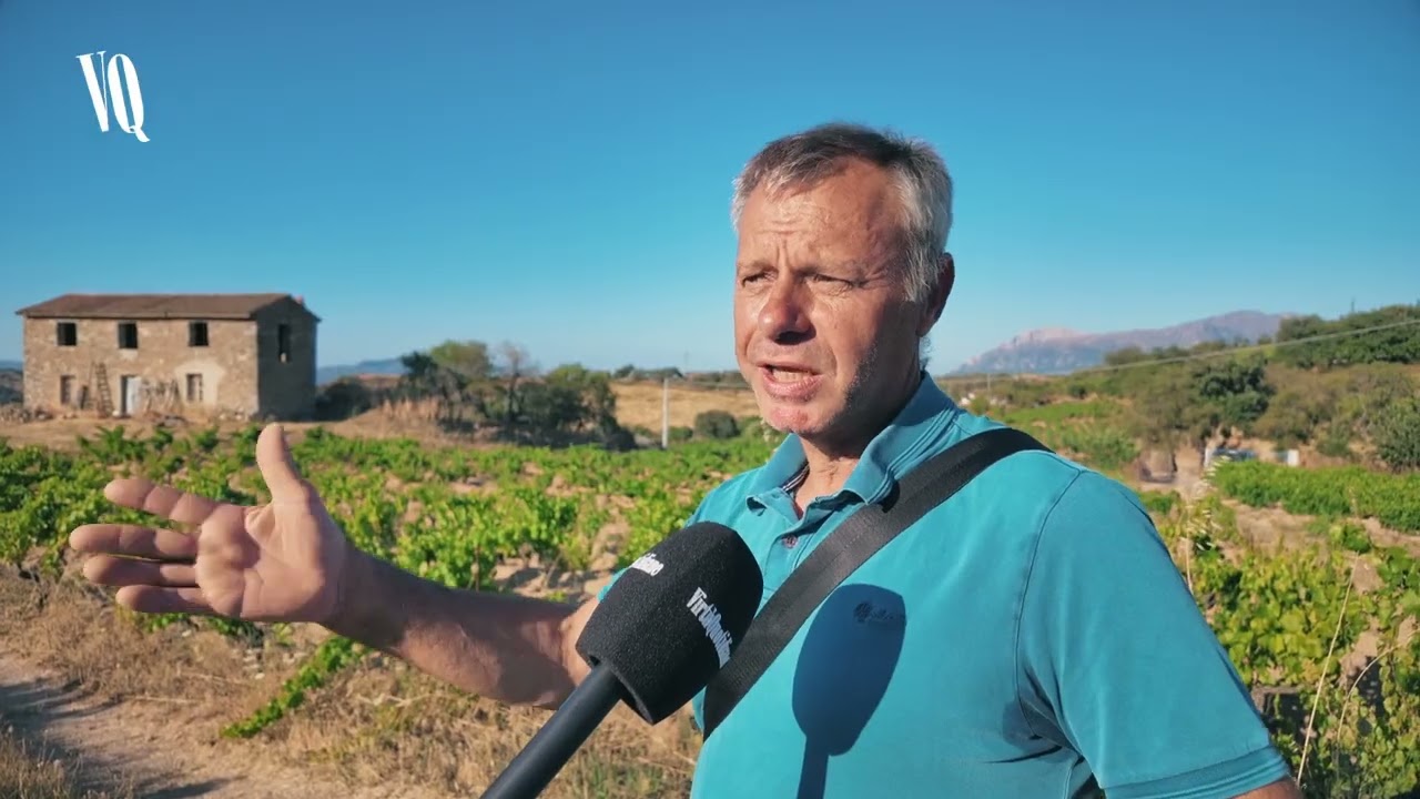 Tra le vigne ultracentenarie di Mamoiada, nella Barbagia cuore della produzione del Cannonau