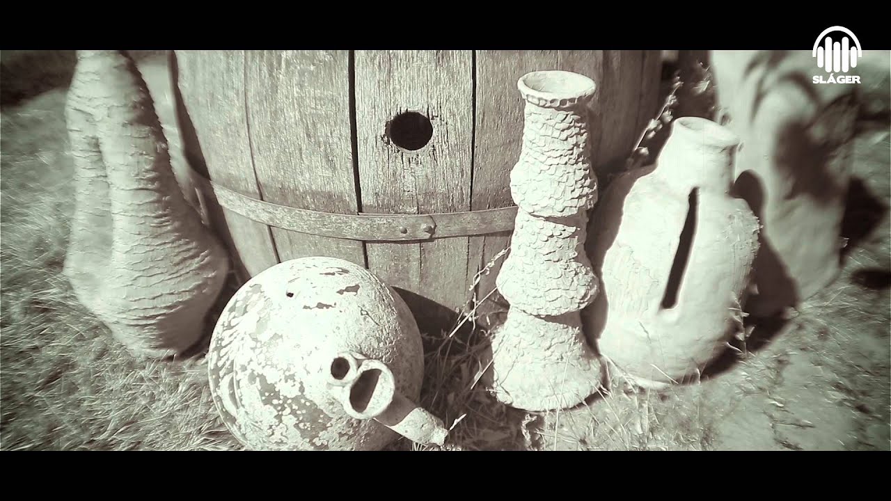 Roberto - Nem kell póráz (Anyós dal) (Official Music Video)