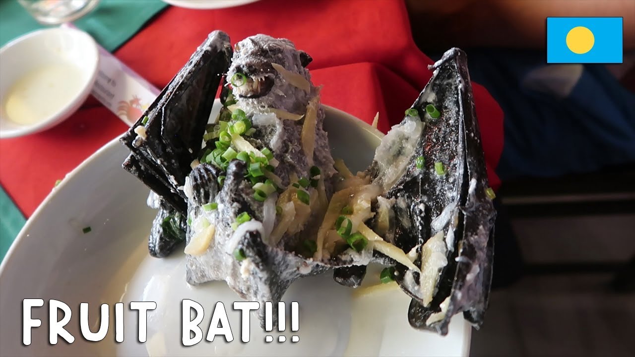 MOST EXOTIC FOOD I'VE EVER TRIED! | Vlog #232