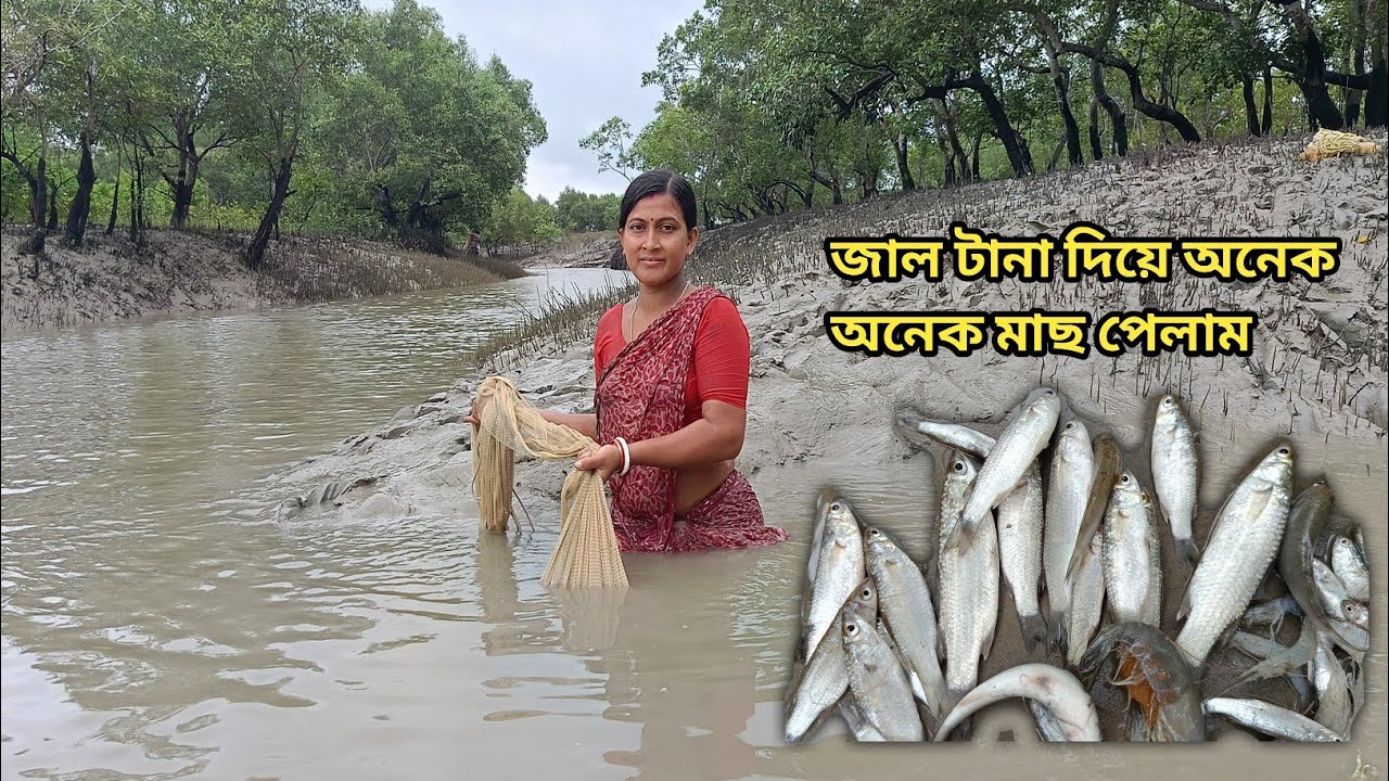 আজ নদীতে গিয়ে প্রচুর পরিমাণে মাছ পেলাম heavy rain day river fishing || Nandita Sundarban life