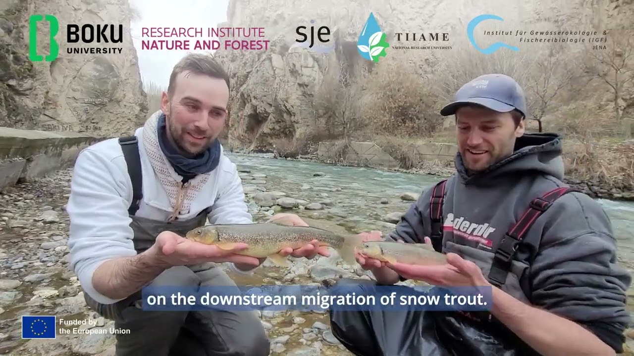 Ecohydraulics field sampling in Uzbekistan | Hydro4U project