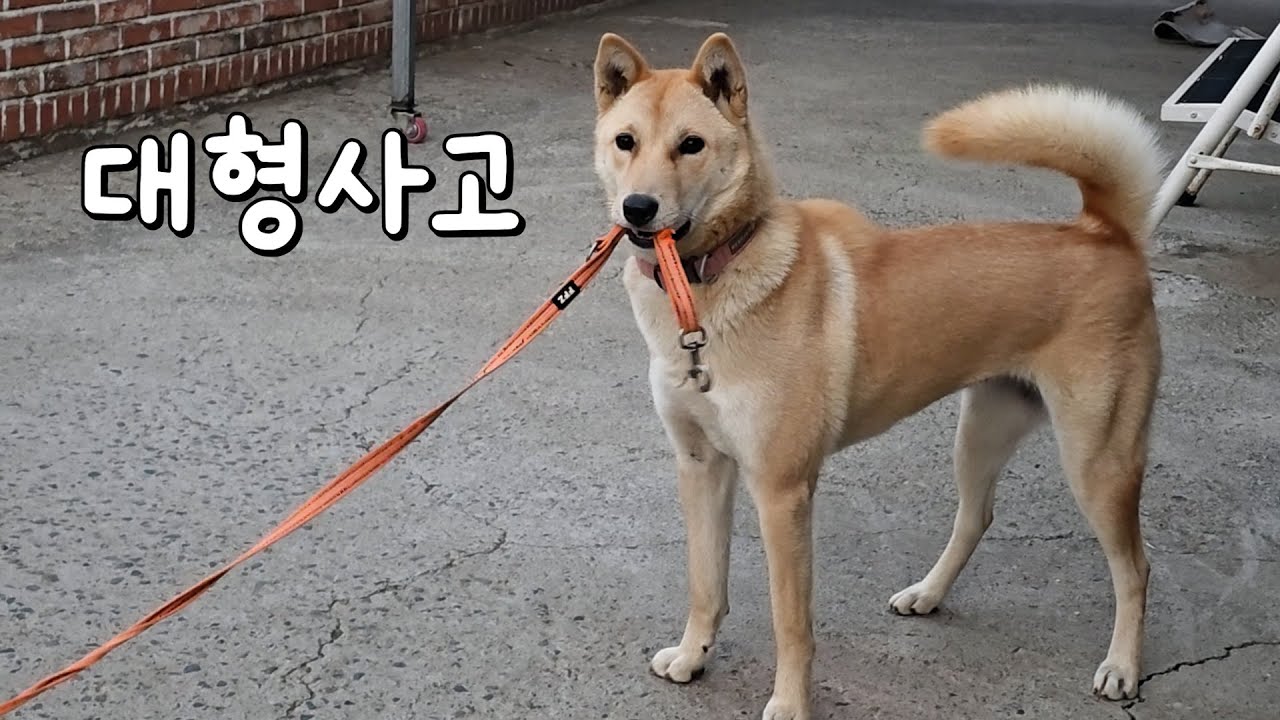 이거 어떻게 할꺼야