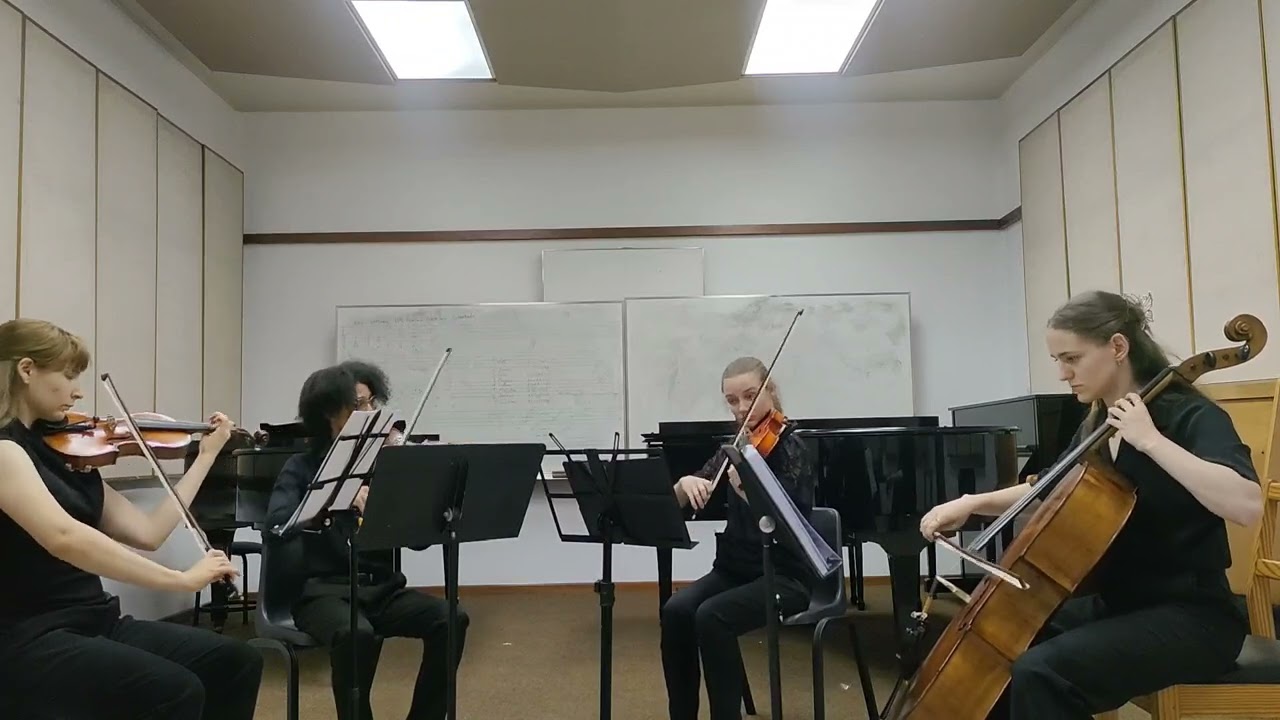 2025 SASF String Quartet Competition Entries — Elevator Quartet