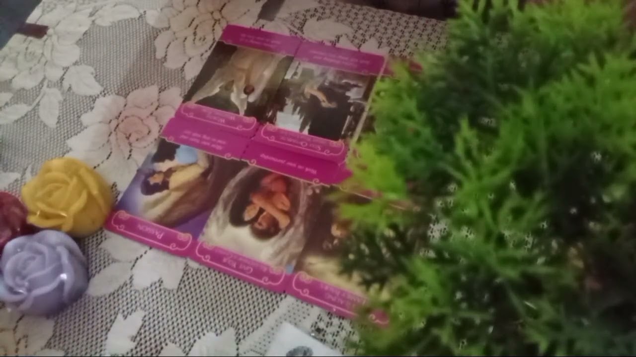 🏵️🏵️നിങ്ങളുടെ ഇപ്പോൾ ഉള്ള ബന്ധത്തെക്കുറിച്ച് ഏഞ്ചൽസിനു നിങ്ങളോട് ഇതാണ് പറയാനുള്ളത് 🏵️🏵️#malayalam.