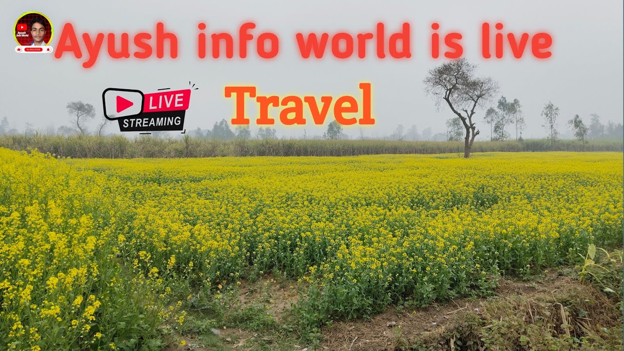 travel live stream behajam lmp trevel