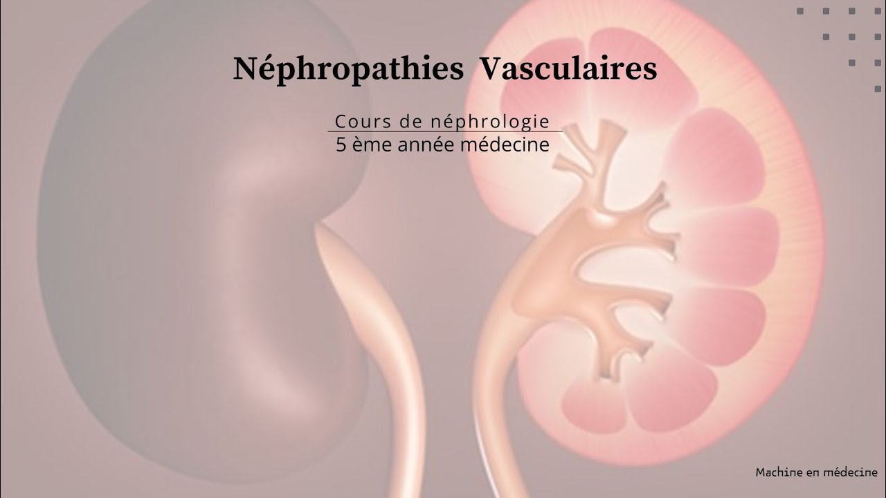 Néphropathies Vasculaires #nephro
