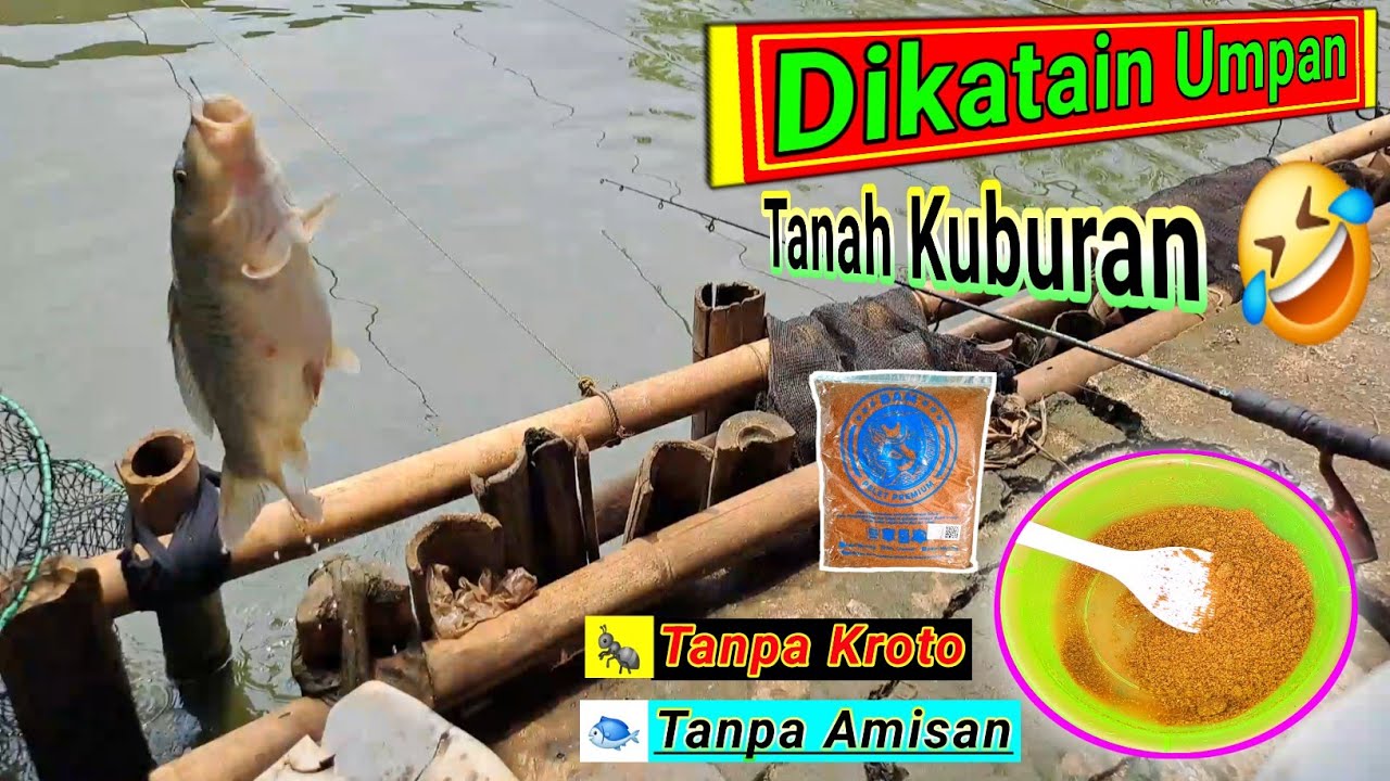 Tanah Kuburan🤣,.!! Sampai dikira pake umpan dari tanah kuburan || 