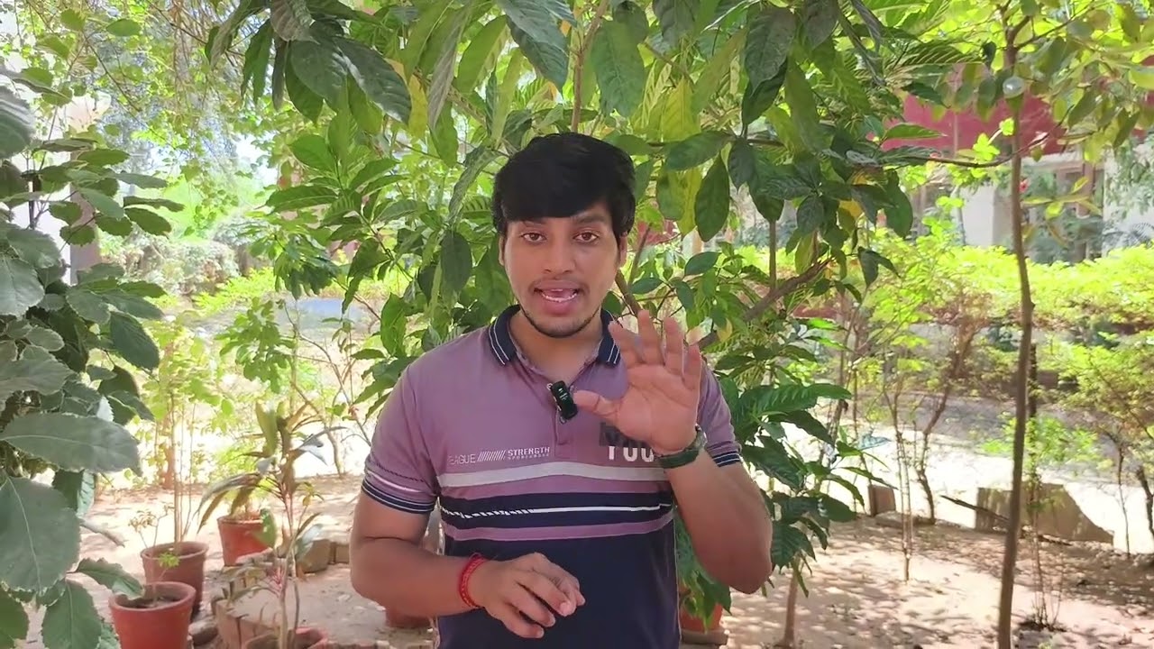 Bsc and BA Admission Process For MS University ( MSU ) 2026 #msubaroda #msuniversity #msu #gcas #bsc