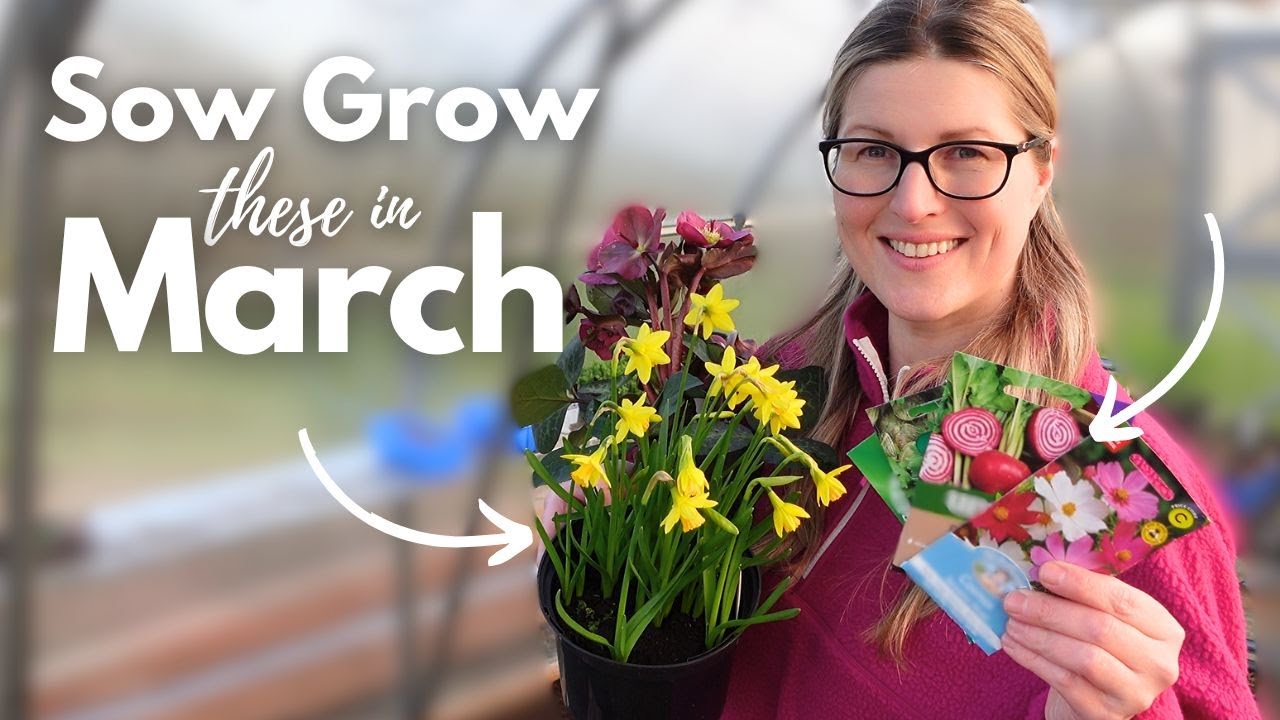 MUST SOW SEEDS in March 🌱Time to start growing | March Gardening | Irish Garden