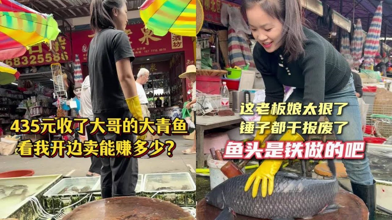 435元收了大哥的大青鱼，看我开边卖能赚多少钱？｜锤子都干报废了，这鱼头是铁做的吧？