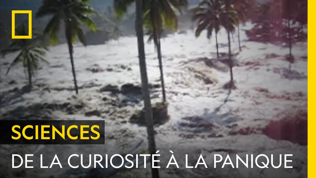 De la curiosité à la panique | TSUNAMI 2004 : LA VAGUE MORTELLE