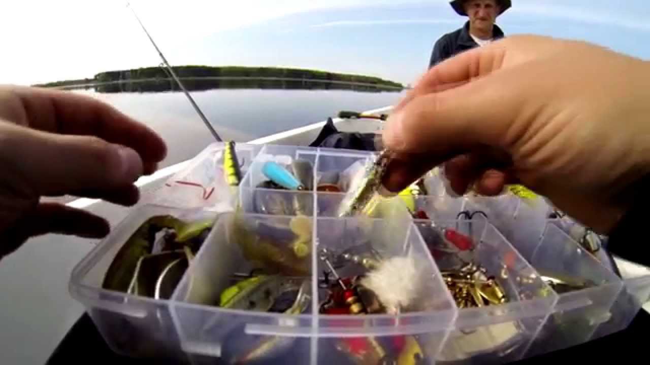 Rozpoczęcie sezonu, maj&oacute;wka, Husynne 1.05.2015