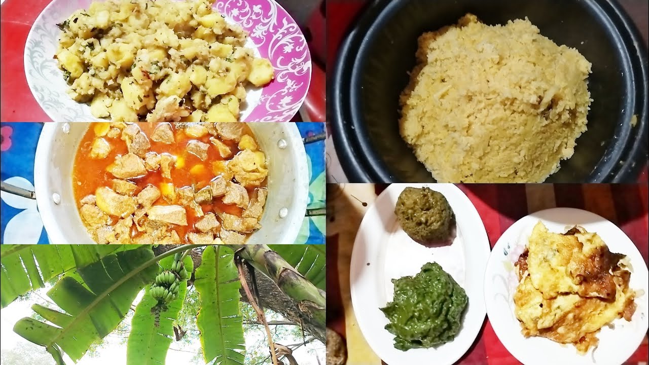 আমি কিভাবে সংসারে টাকা সঞ্চয় করে থাকি। আর খামার থেকে মাসে আমাদের কত টাকা আয় হয়। 