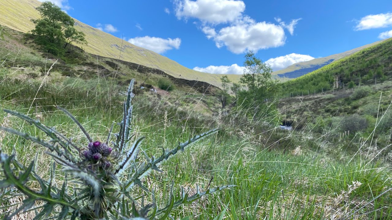 Wild Camping, Tyndrum, Scotland.
