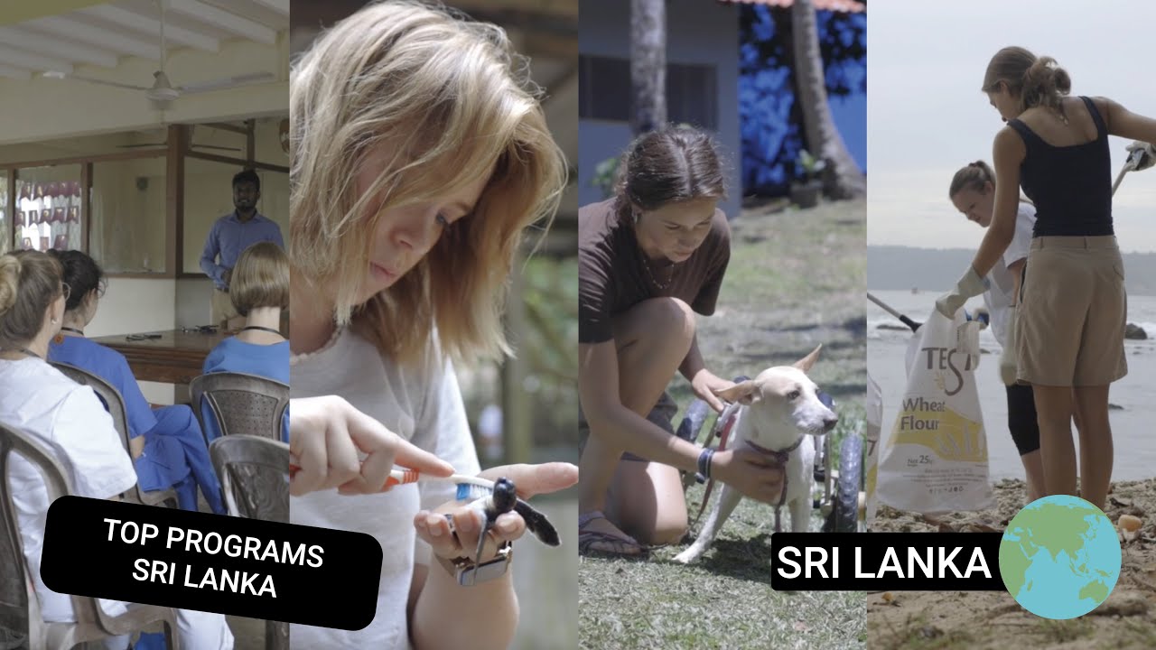Top 4 Volunteer Programs in Sri Lanka with GoEco: Make a Difference in Paradise!
