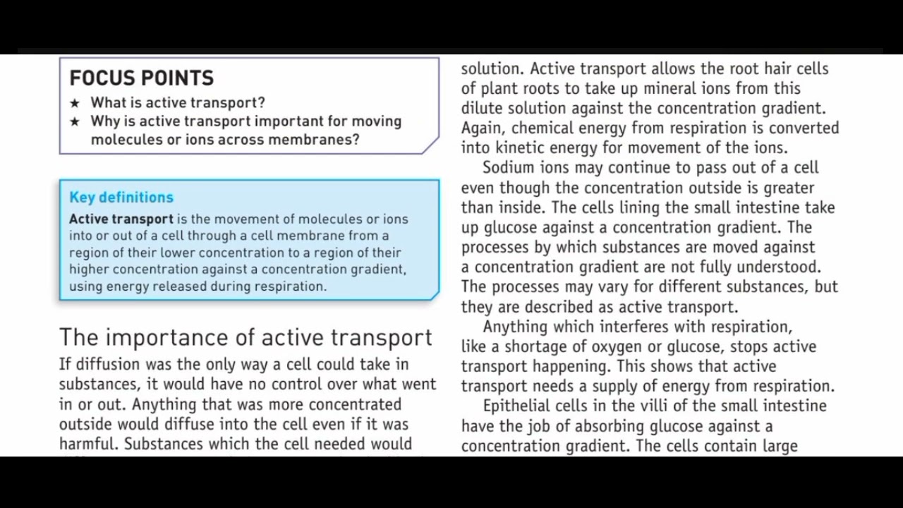 Active Transport in Cells | Definition, Concentration Gradient & Energy | O Level Biology