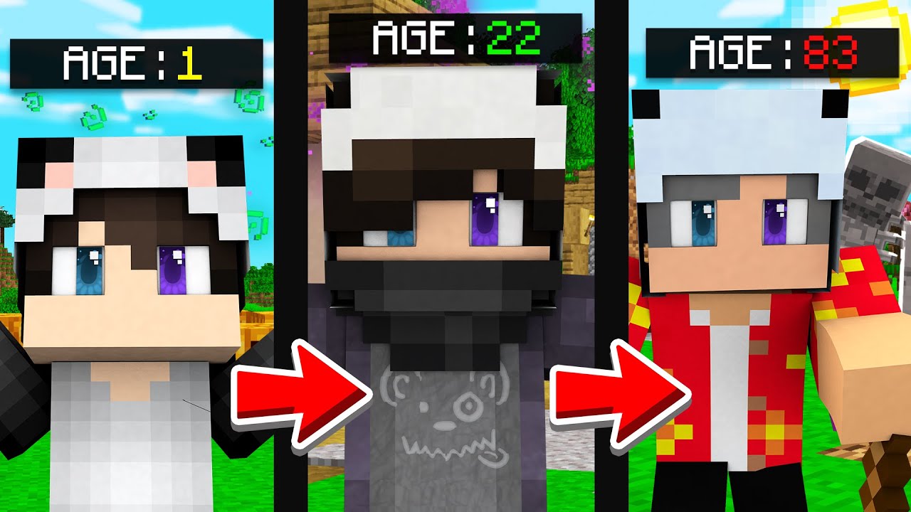 Minecraft But You Get Older