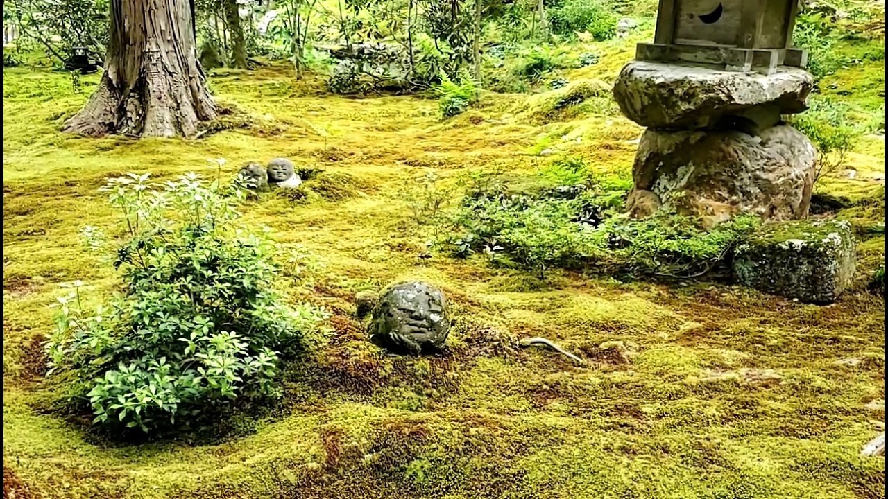 Quiet Walk in Kyoto | Sanzenin Temple Moss Garden and Otonashi Waterfall