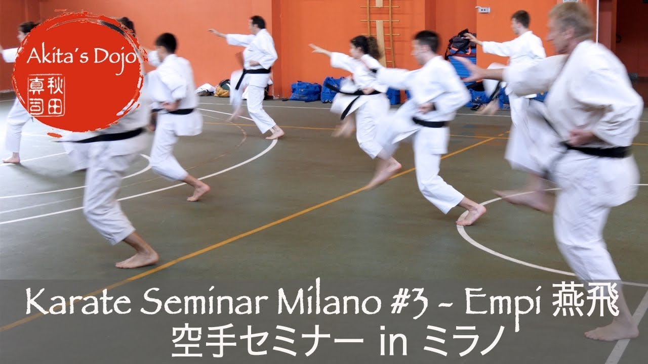 #3 Kata Enpi - Seminar in Milano 【空手inミラノ】型、燕飛【Akita's Karate Video】