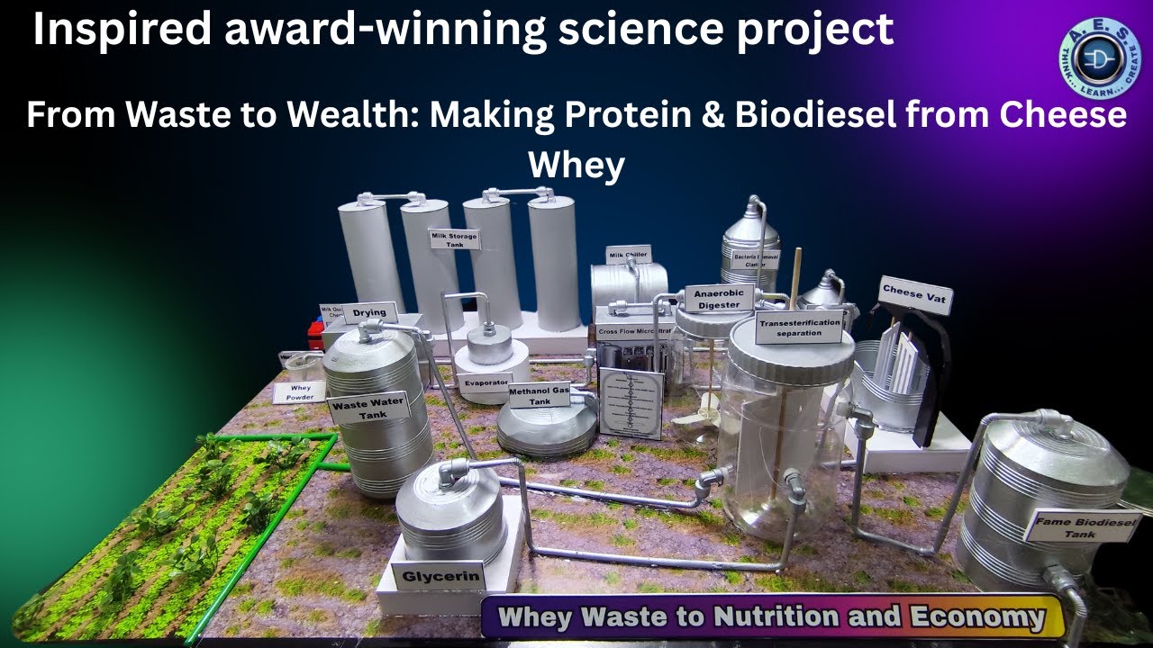 From Whey Waste to Nutrition & Economy – Eco-Friendly Protein Recycling award wining project