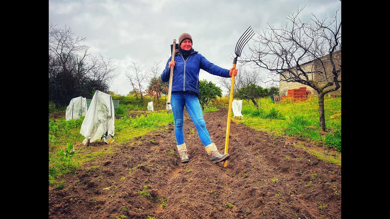 How to Care for Your Garden While Renovating (DIY Landscaping Tips)