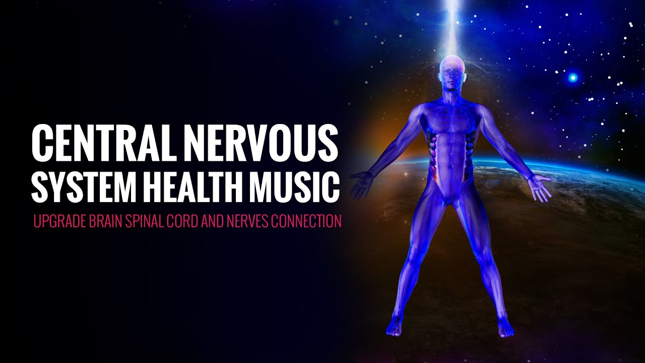 Central Nervous System Health Music | Upgrade Brain Spinal Cord and Nerves Connection | Heal Nerves