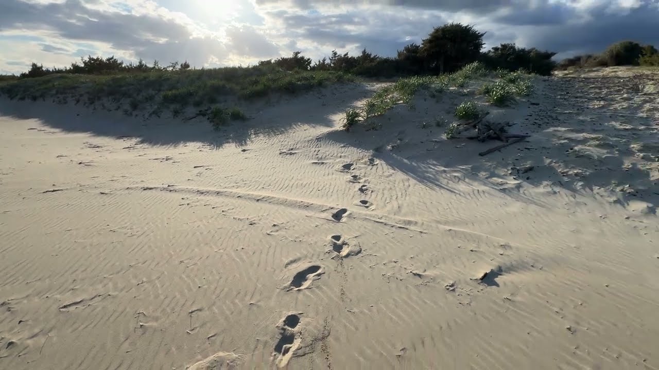 #Italy 🇮🇹 #Apulia #Castellaneta Stornara Nature Reserve | non-stop stretch of sand | sunset walking.